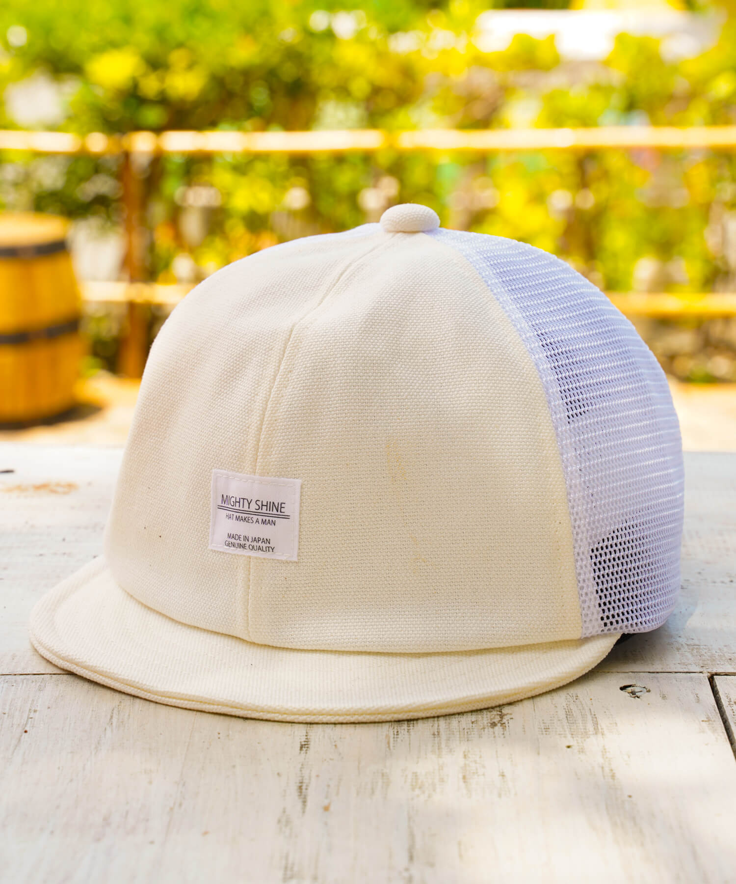 Bridge Cap Mesh